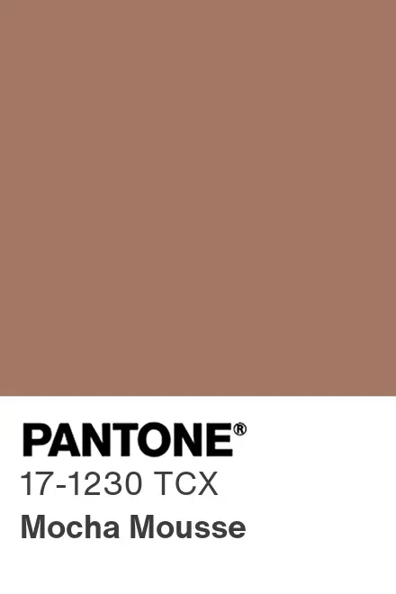 Pantone Color of the Year 2025 - Mocha Mousse Color Chip